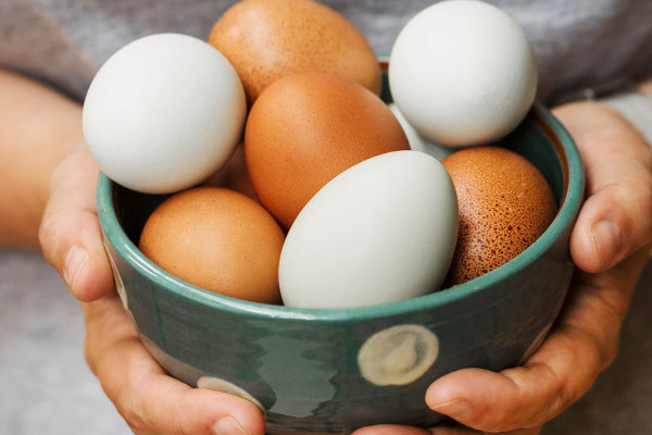 முட்டை விலை தொடர்பில் அமைச்சு வெளியிட்ட தகவல்! | Ministry Regarding The Price Of Eggs