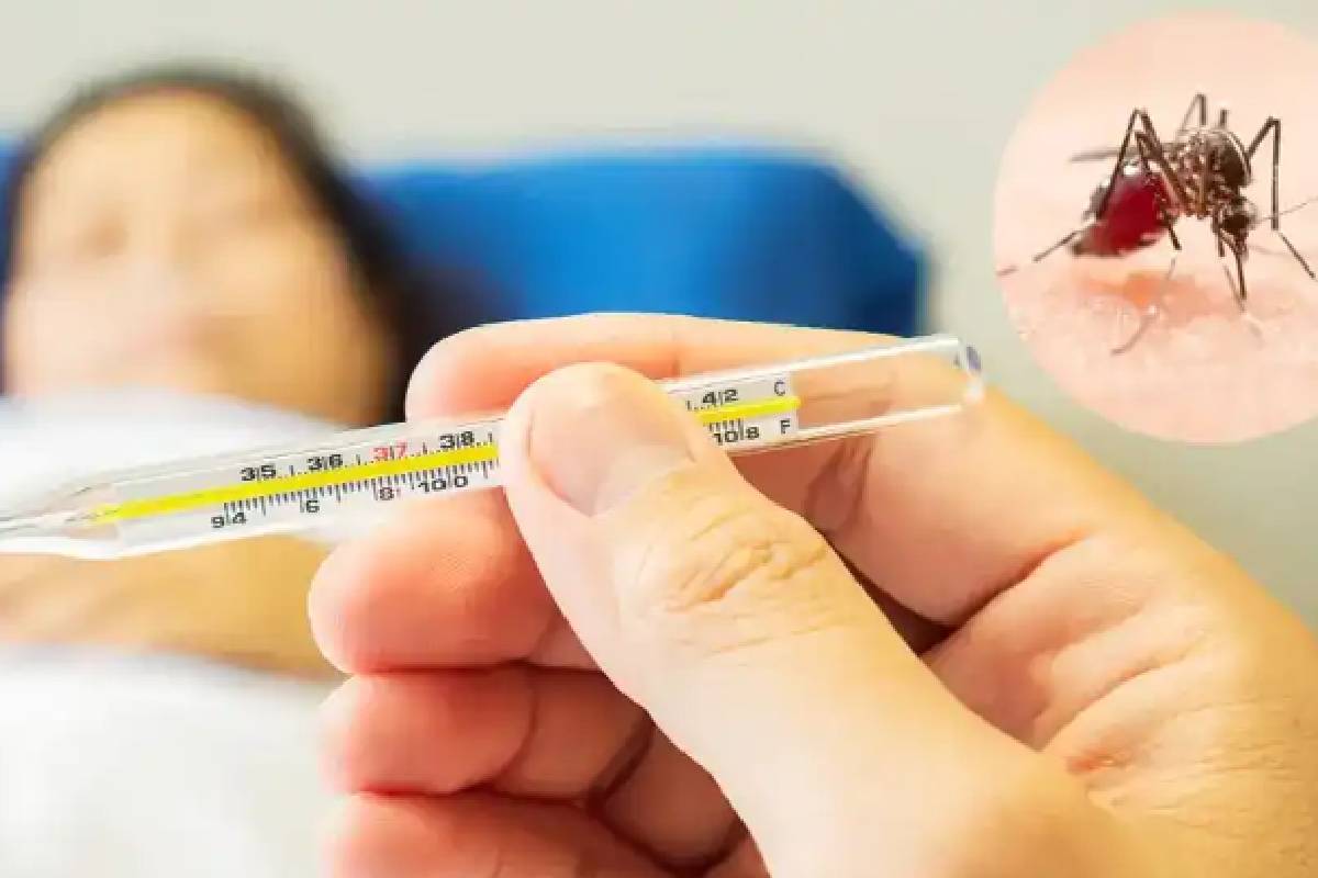அதிகரிக்கும் டெங்குநோய்! பலர் உயிரிழப்பு | Dengue Fever Is Spreading 15 Deaths அதிகரிக்கும் டெங்குநோய்! பலர் உயிரிழப்பு | Dengue Fever Is Spreading 15 Deaths
