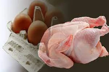 கோழி இறைச்சி மற்றும் முட்டைக்கான விலைகளை குறைக்க நடவடிக்கை