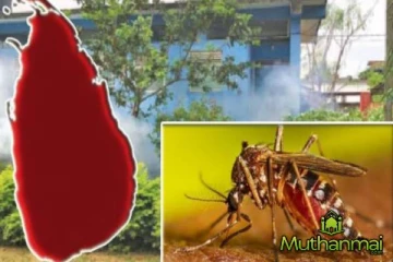 டெங்கு நோயாளிகளின் எண்ணிக்கை அதிகரிக்கும்! சுகாதாரத்துறை விடுத்துள்ள எச்சரிக்கை