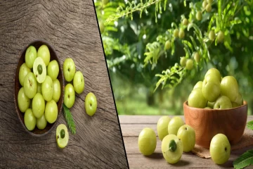 தினமும் ஆவியில் வேக வைத்த 1 நெல்லிக்காயை சாப்பிடுவதால் என்னென்ன நன்மைகள் கிடைக்கும் தெரியுமா?