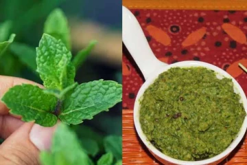 வயிற்று கோளாறுகளுக்கு மருந்தாகும் புதினா துவையல்! இத சேர்க்க மறக்காதீங்க