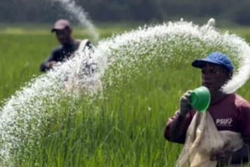 பெரும்போகத்துக்கு தேவையான உரம் இறக்குமதிக்கு அனுமதி