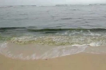 நிறம்மாறும் கடல் நீர்- அச்சத்தில் மக்கள்