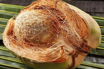 தேங்காய் விலையில் ஏற்படவிருக்கும் மாற்றம்