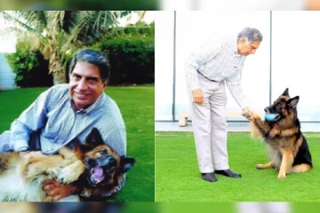 செல்ல நாய்க்கு சொத்தில் பங்கு வழங்கிய ரத்தன் டாடா: வெளியான உயில் விவரங்கள்!