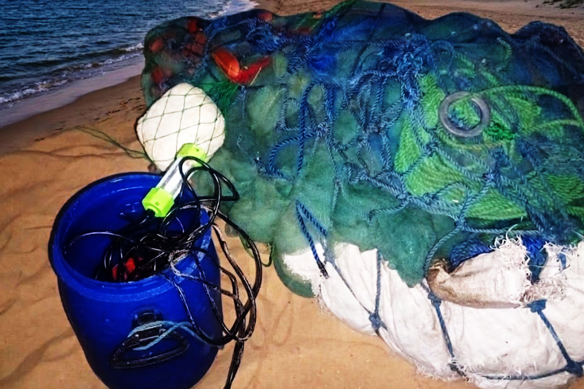யாழில் சட்டவிரோத சுருக்குவலை ஒன்று பறிமுதல்! | An Illegal Fishing Net Was Seized In Jaffna