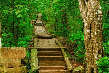 நாகலோகத்திலிருந்து வந்ததாக கூறிய இருவருக்கு நேர்ந்த நிலை