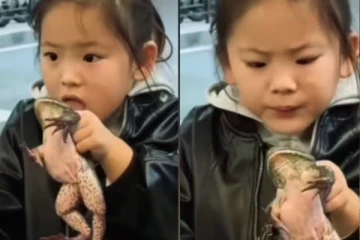 viralvideo: ஐஸ்கிரீமுக்கு பதிலாக தவளையை நக்கும் சிறுமி! பின்னர் நடந்ததை பாருங்க