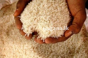 නාඩු කිලෝවක් 350.. කීරි සම්බා කිලෝවක් 450.. සහල් මිලට වෙන දෙය..