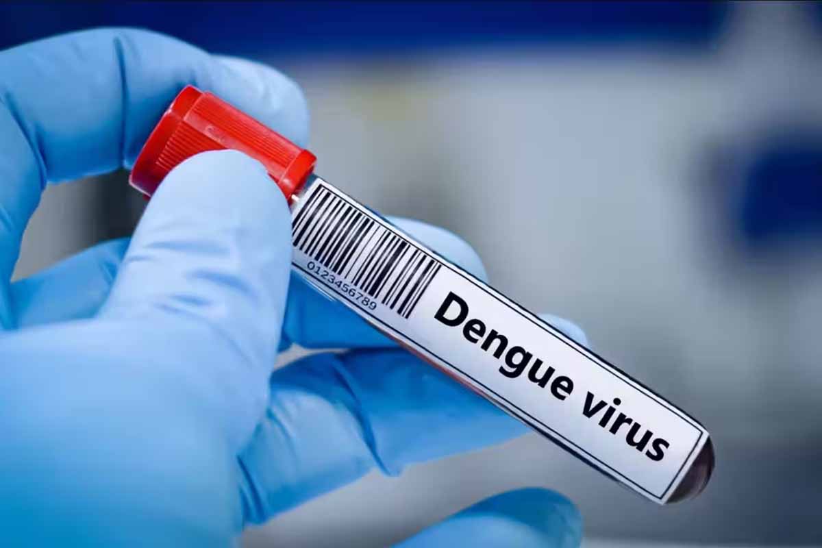 தமிழகத்தில் வேகமாக பரவும் டெங்கு காய்ச்சல் | Dengue In Tamil Nadu Spread தமிழகத்தில் வேகமாக பரவும் டெங்கு காய்ச்சல் | Dengue In Tamil Nadu Spread