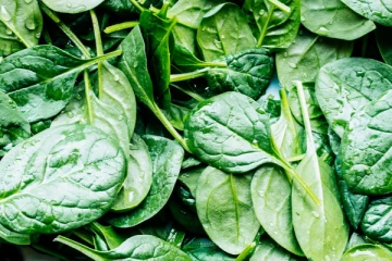 நீரிழிவு நோயாளிகள் அடிக்கடி கீரை அதிகம் சாப்பிட்டால் என்ன நடக்கும் தெரியுமா? எச்சரிக்கை...!