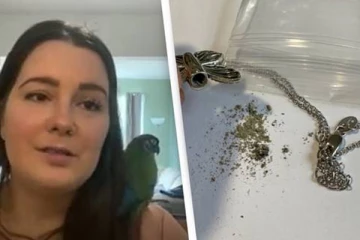 அமேசானில் நெக்லஸ் ஆர்டர் செய்த கனேடிய இளம்பெண்... நெக்லசுக்குள் அஸ்தி இருந்ததால் அதிர்ச்சி