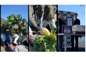 Wow... ஜப்பானில் உலகில் மிகப் பெரிய முள்ளங்கியை வளர்த்து உலக சாதனை