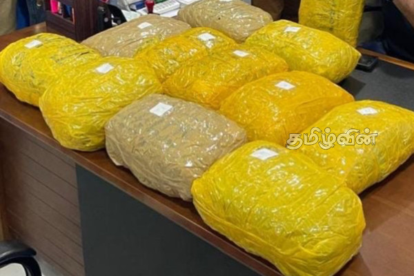 வவுனியாவில் கஞ்சாவுடன் இருவர் கைது! | Two Arrested With 22 Kg Of Ganja In Vavuniya