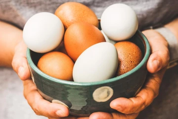 ஒரு நாளைக்கு எத்தனை முட்டை சாப்பிடுவது நல்லது ?