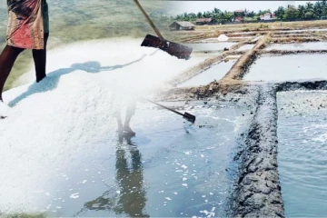 திருகோணமலை உப்பு உற்பத்தியாளர்கள் எதிர்நோக்கும் சிக்கல்!(Video)