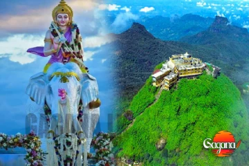 සමනල අඩවියේ සැඟවුණු පලතුරු උයනක්