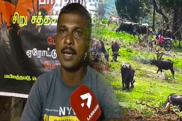 தமிழர் பகுதியில் அதிகாரிகள் பழிவாங்கப்படும் பண்ணையாளர்கள்