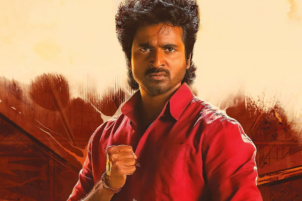 தன் தோல்வி படம் பற்றி அடிக்கடி பேசும் சிவகார்த்திகேயன்! எல்லாம் இதற்குதானா? | Sivakarthikeyan About His Failure Films தன் தோல்வி படம் பற்றி அடிக்கடி பேசும் சிவகார்த்திகேயன்! எல்லாம் இதற்குதானா? | Sivakarthikeyan About His Failure Films