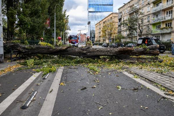 போலாந்தில் இருளில் முழ்கிய ஆயிரக்கணக்கான வீடுகள்! | Poland Storm Thousands Left Without Power Home