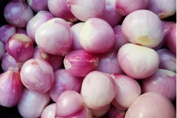 தினமும் சமையலில் சின்ன வெங்காயம் சேர்ப்பது நல்லதா? அவசியம் தெரிந்து கொள்ளுங்கள்