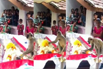 உணவளித்த எஜமான் இறந்ததால் உடல் அருகே அமர்ந்து அஞ்சலி செலுத்திய குரங்கு