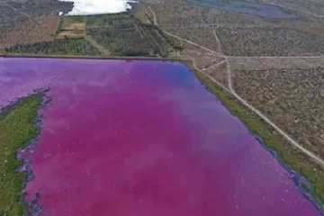 திடீரென சிவப்பு நிறமாக மாறிய அர்ஜென்டினாவின் அயர்ஸின் ஆறு