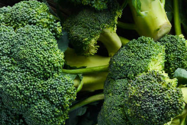 சைவ பிரியர்கள் புரத உணவுகளாக இதனை எடுத்து கொள்ளலாம் | Vegetarians Can Take It As A Protein Food