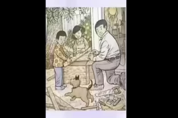 Optical illusion: '90' சதவீதத்தினரால் கண்டுபிடிக்க முடியவில்லை இதில் வாத்து எங்கே?