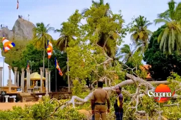 මිහින්තලේ බෝධියක් කඩා වැටී එක් අයෙක් ජීවිතක්ෂයට