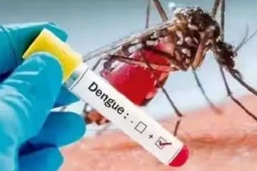 இலங்கையில் டெங்கு நோயாளர்களின் எண்ணிக்கை தொடர்பில் வெளியான அறிவிப்பு!