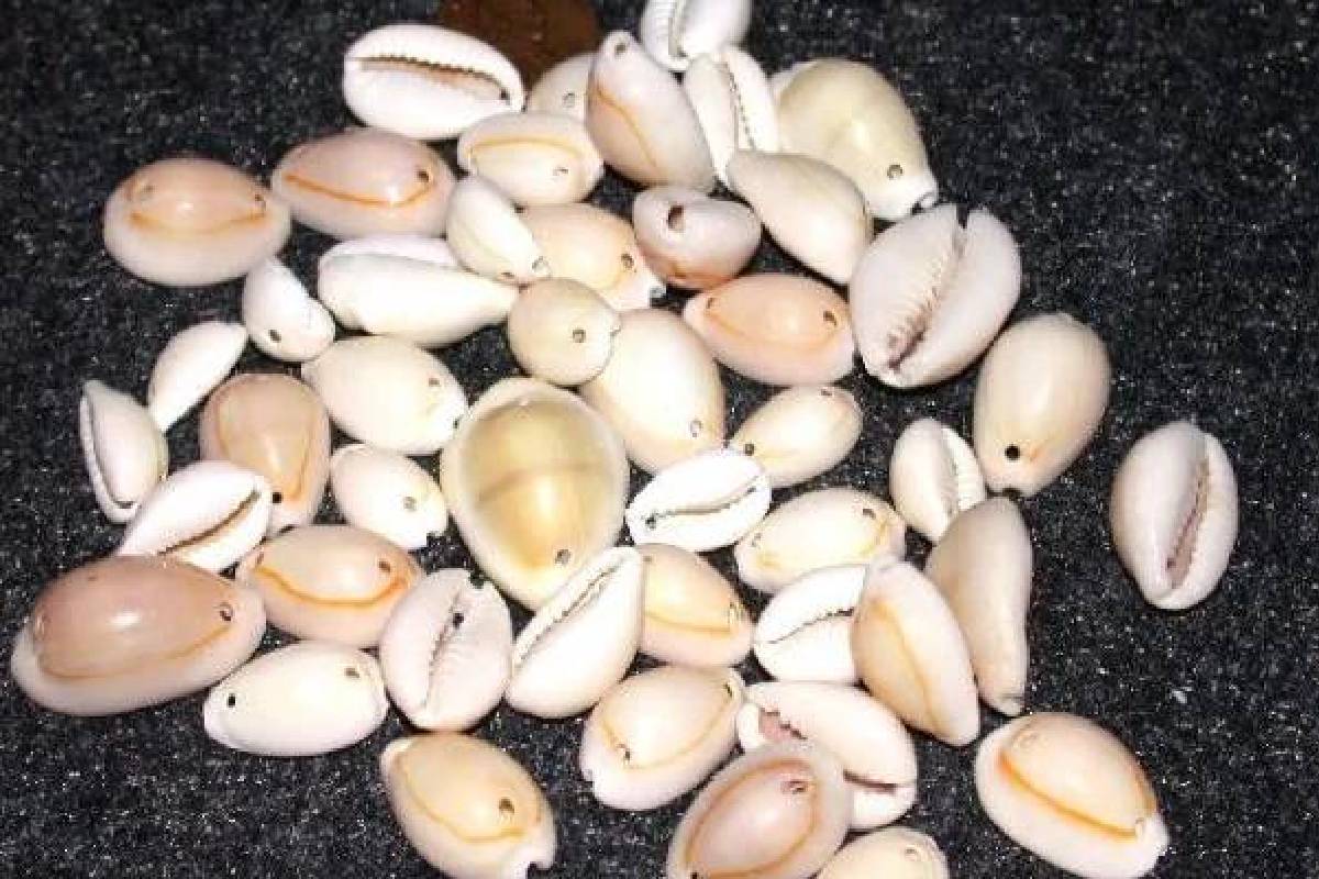 செல்வ செழிப்பு பெருகணுமா? இந்த பொருட்களில் ஒன்றை வீ்ட்டில் வைத்து பாருங்க! | Which Things Keep At Home For Wealth Vastu Tips செல்வ செழிப்பு பெருகணுமா? இந்த பொருட்களில் ஒன்றை வீ்ட்டில் வைத்து பாருங்க! | Which Things Keep At Home For Wealth Vastu Tips