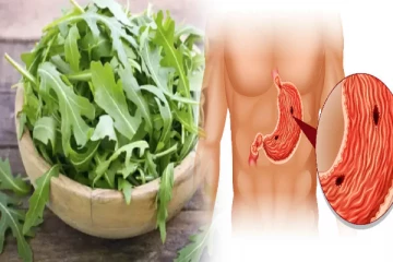 அருகோலா கீரை சாப்பிடுவதால் புற்றுநோய் தடுக்கப்படுமா? முழுசா தெரிஞ்சுக்கோங்க