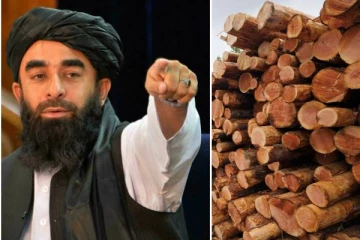 ஆப்கானிஸ்தானில் மரம் வெட்ட தடை! தலிபான் முக்கிய அறிவிப்பு