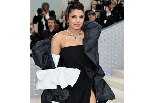 என்னது ஒரு நெக்லஸ் இத்தனை கோடியா.... வாய் பிளக்கும் ரசிகர்கள் | Priyanka Chopra Diamond Necklace Price