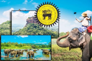 தொடர்ந்தும் அதிகரித்துச் செல்லும் சுற்றுலா பயணிகளின் வருகை