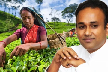 பெருந்தோட்டத் தொழிலாளர்களுக்கு 10 பேர்ச்சஸ் காணி: அமைச்சர் ரமேஷ் பத்திரன