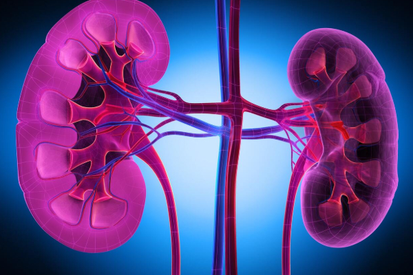 மாணவன் வடிக்கானுக்குள் விழுந்ததில் சிறுநீரகம் அகற்றம் | Student Had Kidney Removed Falling Into Drain