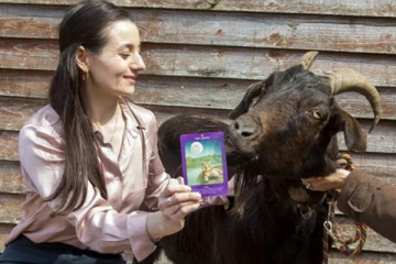 எதிர்காலத்தை துல்லியமாக கணிக்கும் ஆடு: இளவரசர் ஹரி தொடர்பில் ஒரு கெட்ட செய்தி