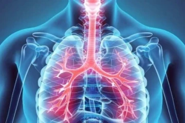 இலங்கையில் அதிகரித்து வரும் சுவாச அமைப்பு தொடர்பான நோய்கள்