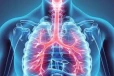 இலங்கையில் அதிகரித்து வரும் சுவாச அமைப்பு தொடர்பான நோய்கள்