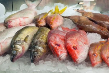 கனடாவில் தவறாக பெயரிடப்பட்டு விற்கப்படும் கடல் உணவுகள்