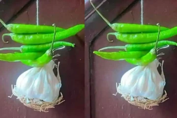 கண் திருஷ்டிக்கு கை கொடுத்த பூண்டு....கிடு கிடுனு உச்சம் தொட்ட எலுமிச்சை விலை!