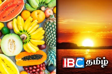 ஆரம்பமான கோடைகாலம் : கட்டாயம் சாப்பிட வேண்டிய பழங்கள் எவை தெரியுமா?