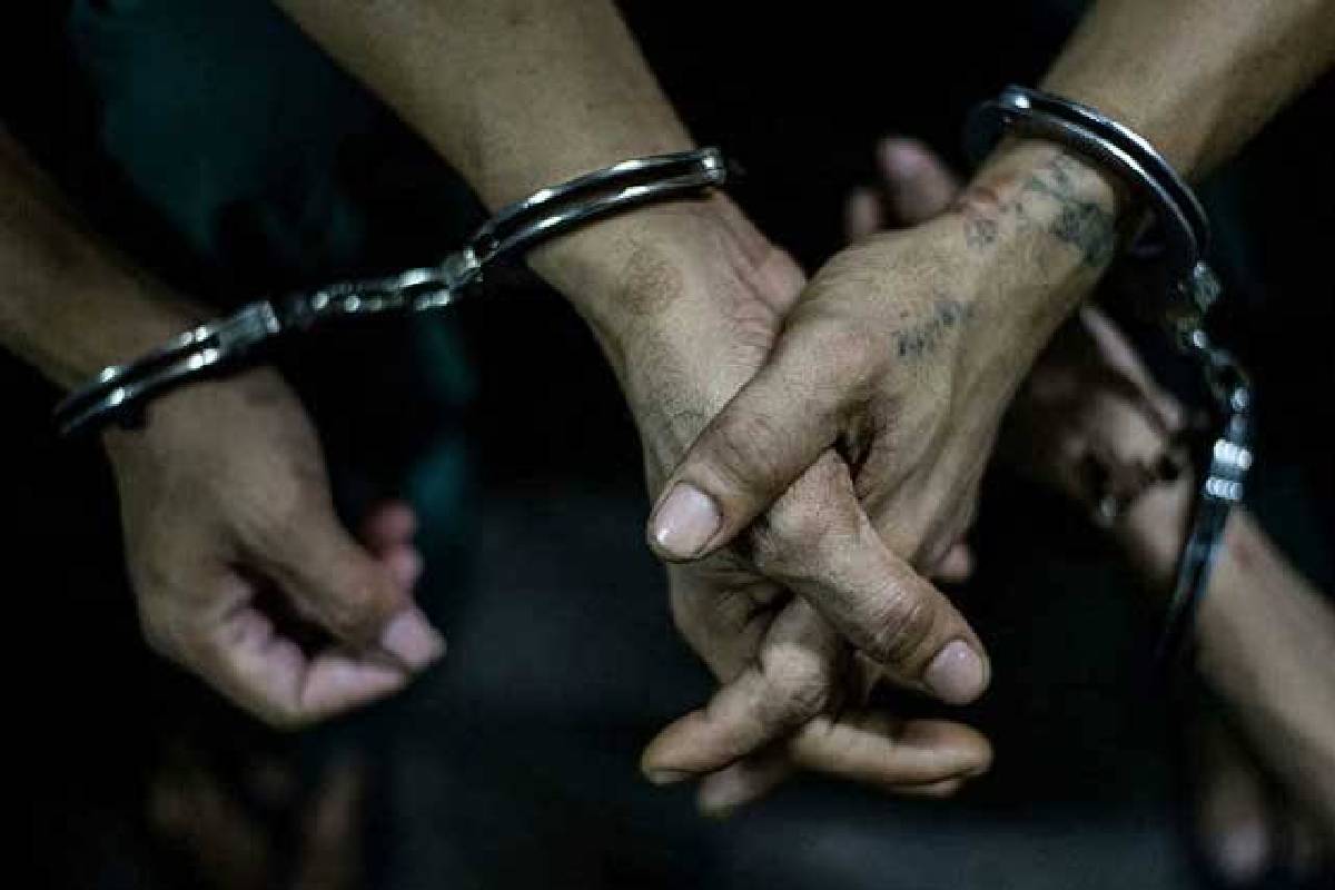திருகோணமலையில் ஆமைகளுடன் நால்வர் கைது! | Four Arrested With Turtles In Trinco