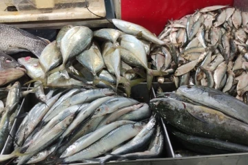 මාළු මිලෙහි එකවර සිදු වූ වෙනස..