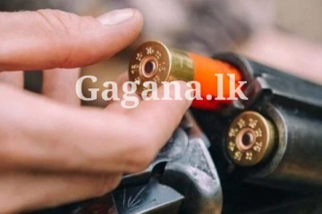 රජයෙන්, පිරිසකට පතරොම් තුවක්කු ලබාදීමට තීරණයක්.