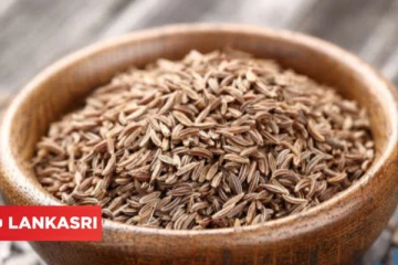 தினமும் காலையில் கொதிக்க வைத்த சீரக தண்ணீர் குடிப்பதனால் கிடைக்கும் நன்மைகள்!