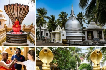 தமிழீழ விடுதலைப்புலிகளின் காலத்தில் பேணப்பட்ட பௌத்த சின்னங்கள்(Video)